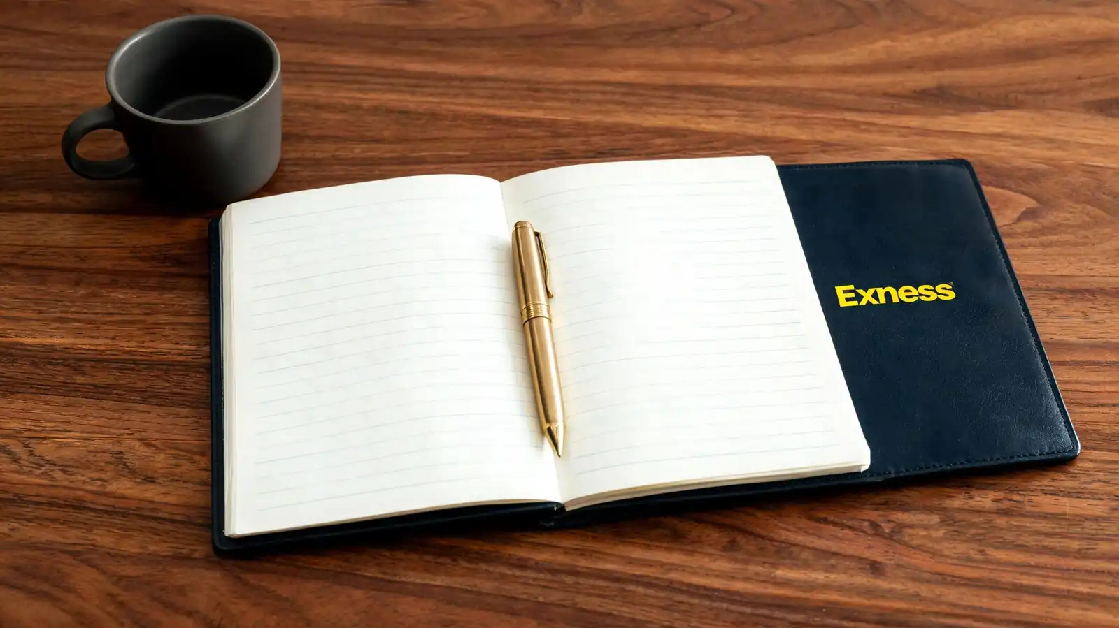 Learn Trading With Exness: Beginner Guide